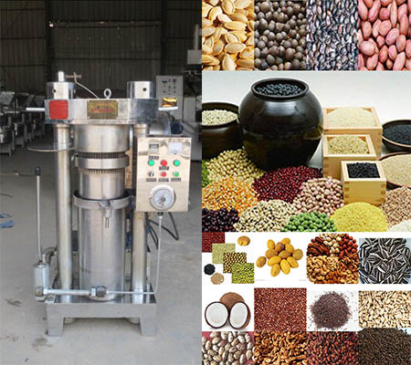 Hot sale 6YZ-230 seed oil extraction machine
