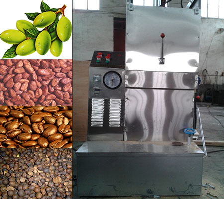 Stainless steel food grade olive hydraulic cold press oil machine